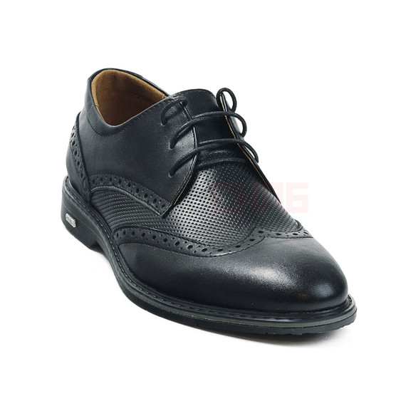 Туфли мужские ZM010/1
